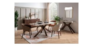 Pair Of Ariya Dining Chairs Brown
