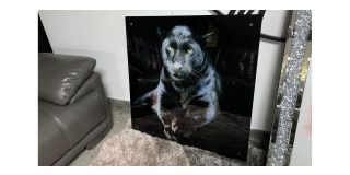 Black Panther Glass Print - Sold As Seen - Ex-display Showroom Product 49274