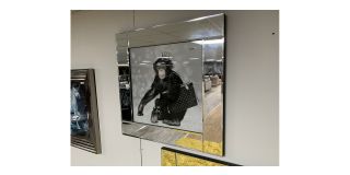 Monkey Scene Print With Mirrored Frame - Sold As Seen - Ex-display Showroom Product 49285